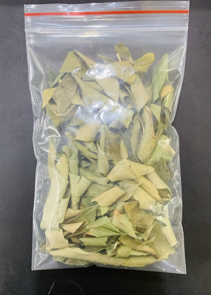 LÁ CHANH SẤY 15G
