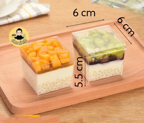 HỘP NHỰA VUÔNG KÈM NẮP LC6055 (10HỘP/LỐC-1000HỘP/THÙNG)
