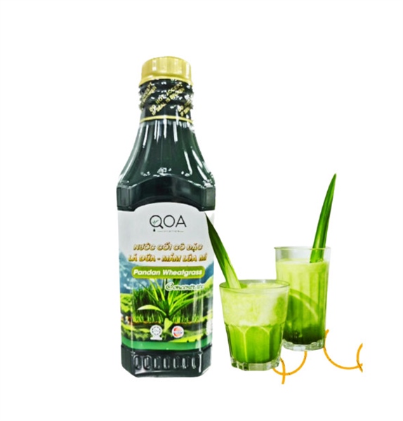QOA NƯỚC CỐT CÔ ĐẶC LÁ DỨA