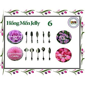 BỘ KIM LÀM THẠCH RAU CÂU 3D HỒNG MẾN