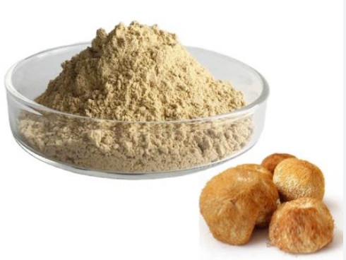 BỘT SƯ TỬ LẺ 100G